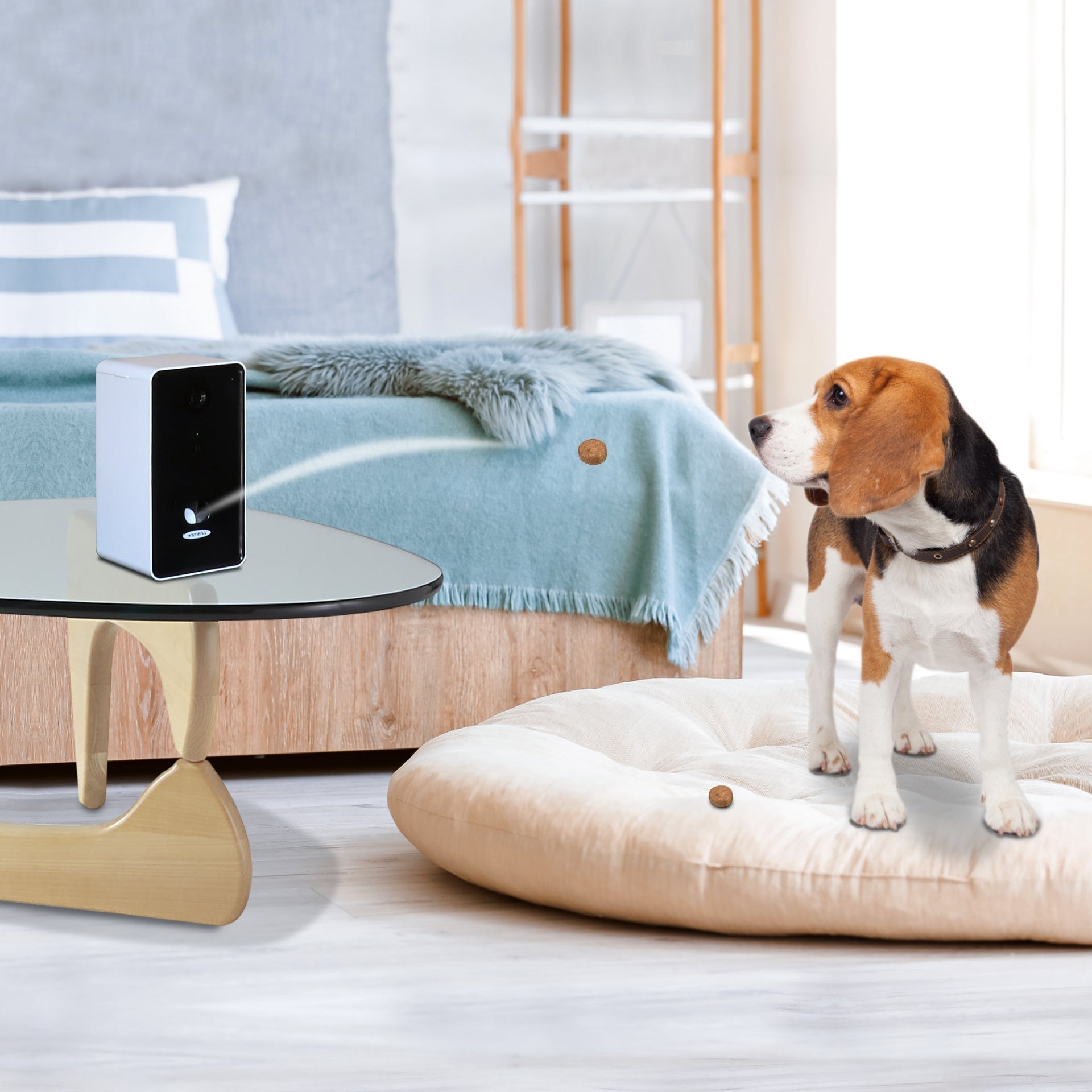 Wireless dog clearance treat dispenser