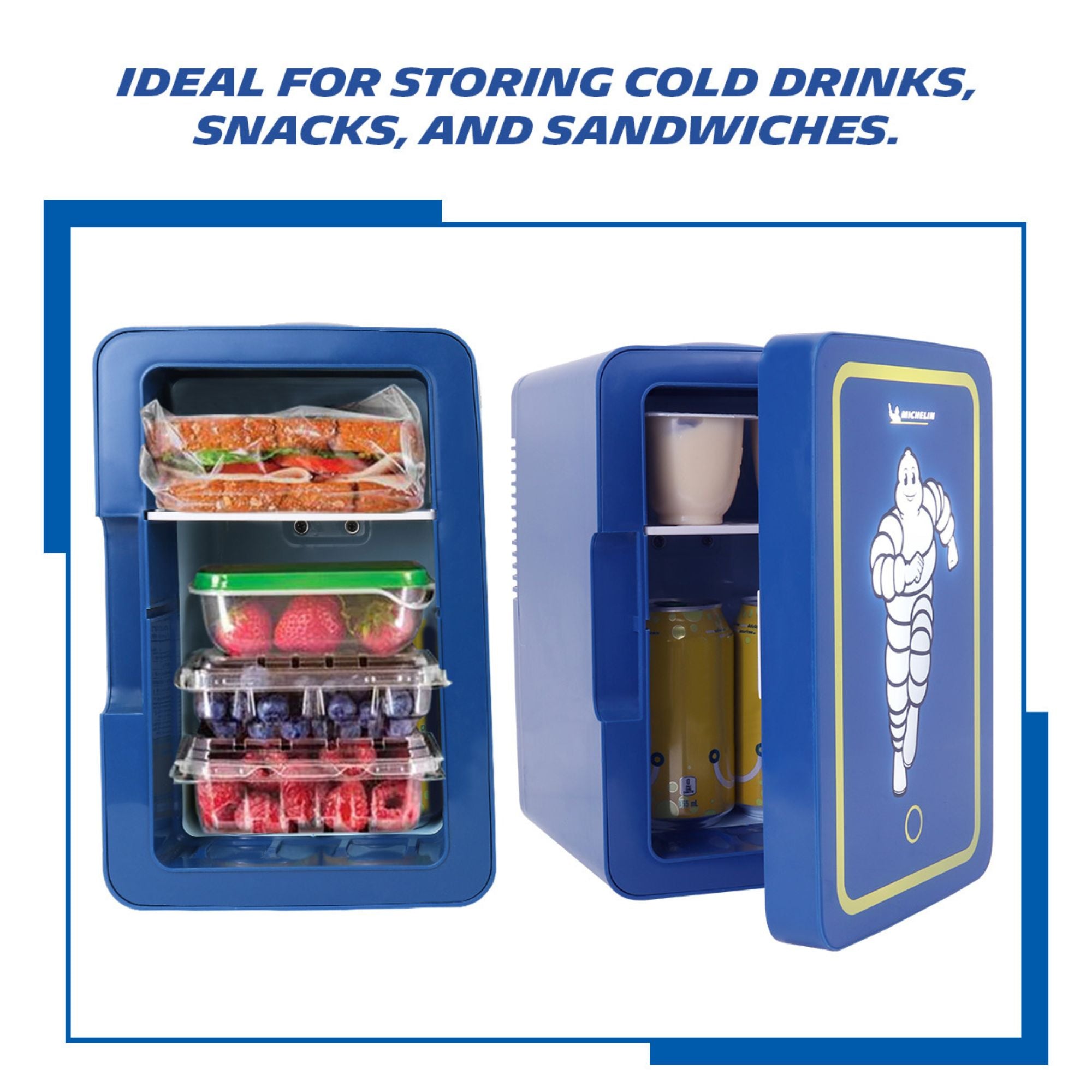 Portable mini cooler store price